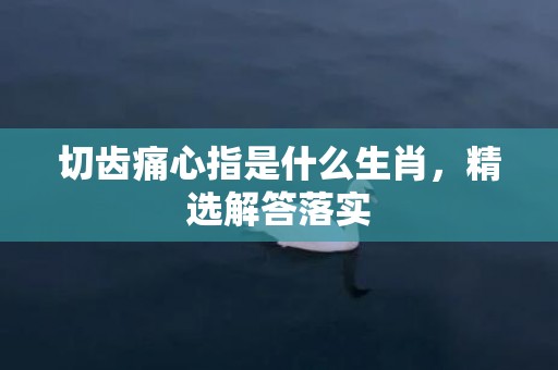 切齿痛心指是什么生肖，精选解答落实