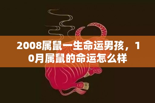 2008属鼠一生命运男孩，10月属鼠的命运怎么样