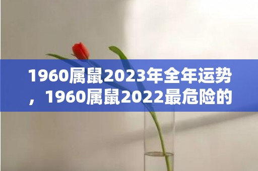 1960属鼠2023年全年运势，1960属鼠2022最危险的一个月