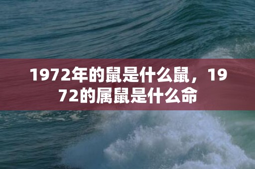 1972年的鼠是什么鼠，1972的属鼠是什么命