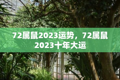 72属鼠2023运势，72属鼠2023十年大运