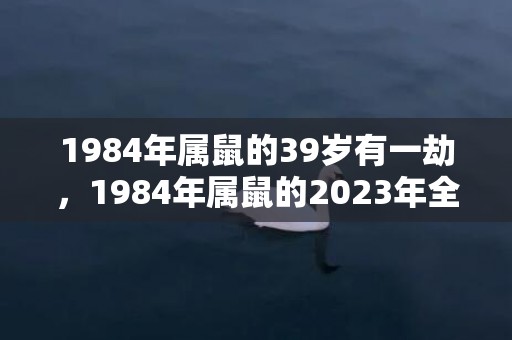 1984年属鼠的39岁有一劫，1984年属鼠的2023年全年运势如何