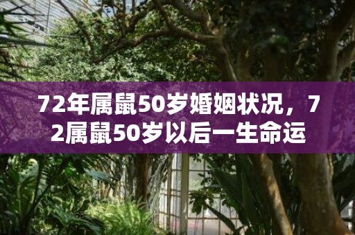 72年属鼠50岁婚姻状况，72属鼠50岁以后一生命运