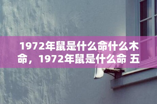 1972年鼠是什么命什么木命，1972年鼠是什么命 五行属什么