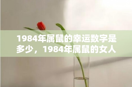 1984年属鼠的幸运数字是多少，1984年属鼠的女人的后代