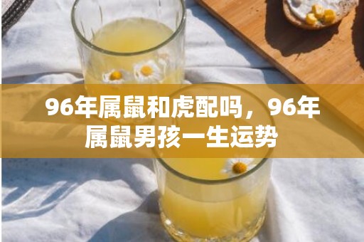 96年属鼠和虎配吗，96年属鼠男孩一生运势