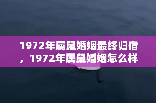 1972年属鼠婚姻最终归宿，1972年属鼠婚姻怎么样