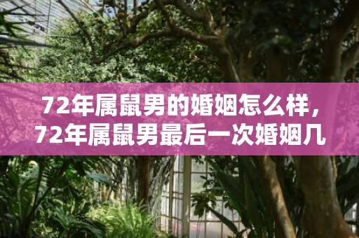 72年属鼠男的婚姻怎么样，72年属鼠男最后一次婚姻几岁