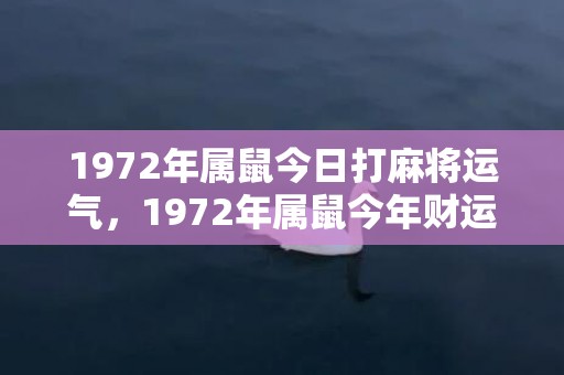 1972年属鼠今日打麻将运气，1972年属鼠今年财运