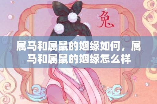 属马和属鼠的姻缘如何，属马和属鼠的姻缘怎么样