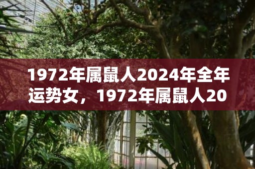 1972年属鼠人2024年全年运势女，1972年属鼠人2023年全年运势运程女