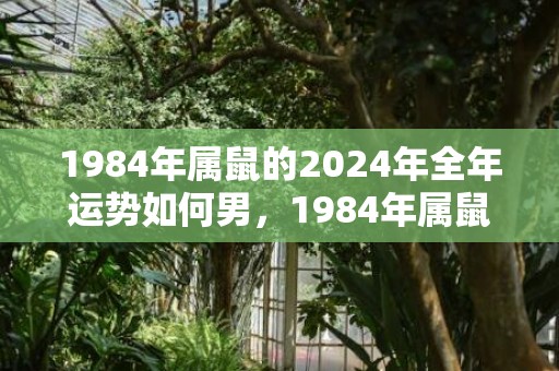 1984年属鼠的2024年全年运势如何男，1984年属鼠的交运时间