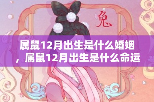 属鼠12月出生是什么婚姻，属鼠12月出生是什么命运