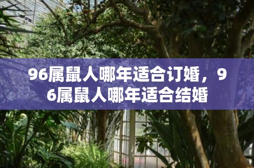 96属鼠人哪年适合订婚，96属鼠人哪年适合结婚