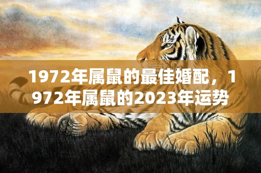 1972年属鼠的最佳婚配，1972年属鼠的2023年运势