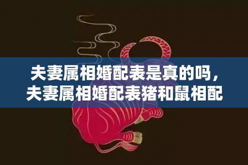 夫妻属相婚配表是真的吗，夫妻属相婚配表猪和鼠相配吗，两鼠属相婚配好吗