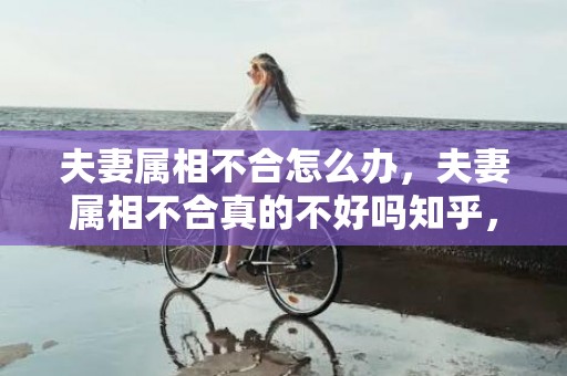 夫妻属相不合怎么办，夫妻属相不合真的不好吗知乎，三观不合 知乎