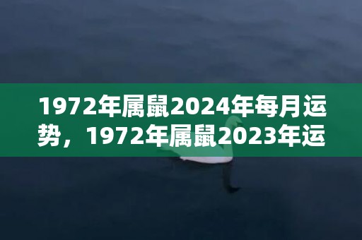 1972年属鼠2024年每月运势，1972年属鼠2023年运势男性