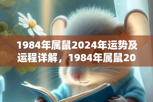 1984年属鼠2024年运势及运程详解，1984年属鼠2023