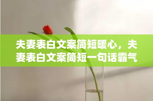 夫妻表白文案简短暖心，夫妻表白文案简短一句话霸气(夫妻表白情话最暖心一段话)