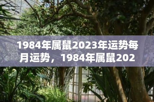 1984年属鼠2023年运势每月运势，1984年属鼠2023年工作