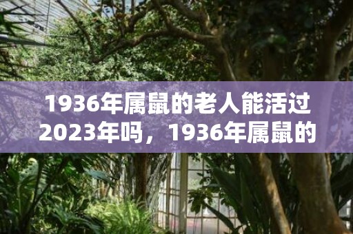 1936年属鼠的老人能活过2023年吗，1936年属鼠的是什么命