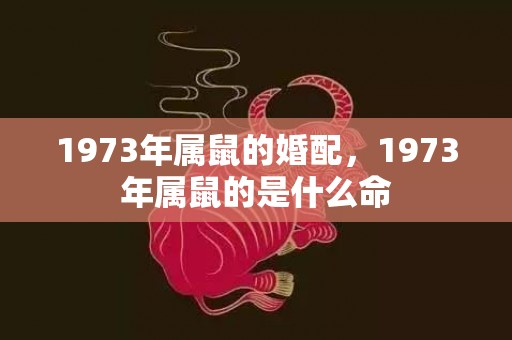 1973年属鼠的婚配，1973年属鼠的是什么命