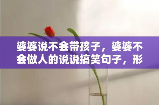 婆婆说不会带孩子，婆婆不会做人的说说搞笑句子，形容有个好婆婆的说说