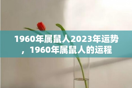 1960年属鼠人2023年运势，1960年属鼠人的运程