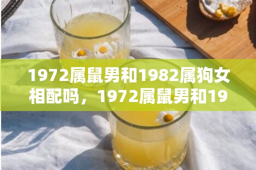 1972属鼠男和1982属狗女相配吗，1972属鼠男和1976属龙女