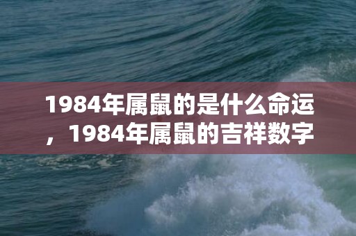 1984年属鼠的是什么命运，1984年属鼠的吉祥数字