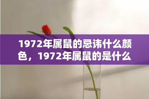 1972年属鼠的忌讳什么颜色，1972年属鼠的是什么命运