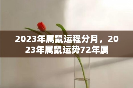 2023年属鼠运程分月，2023年属鼠运势72年属