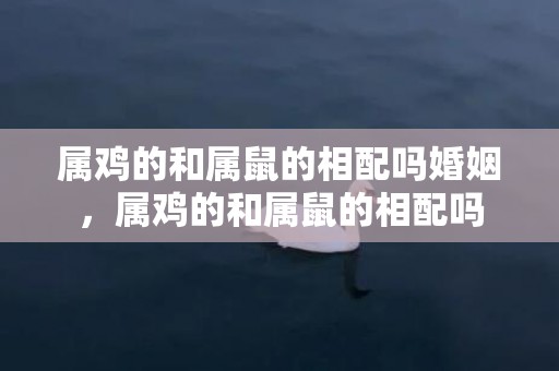 属鸡的和属鼠的相配吗婚姻，属鸡的和属鼠的相配吗