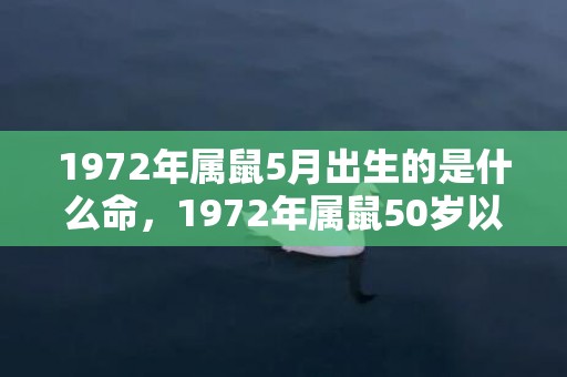 1972年属鼠5月出生的是什么命，1972年属鼠50岁以后一生命运