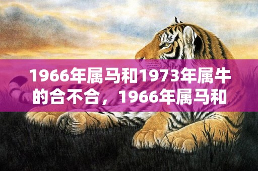 1966年属马和1973年属牛的合不合，1966年属马和1972年鼠合不合