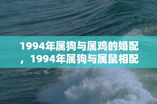 1994年属狗与属鸡的婚配，1994年属狗与属鼠相配吗