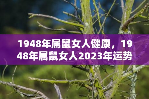 1948年属鼠女人健康，1948年属鼠女人2023年运势