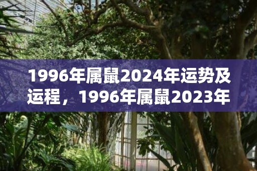 1996年属鼠2024年运势及运程，1996年属鼠2023年财运