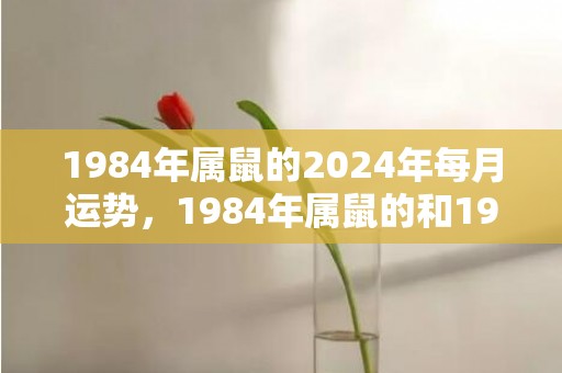 1984年属鼠的2024年每月运势，1984年属鼠的和1988属龙的