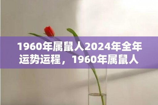 1960年属鼠人2024年全年运势运程，1960年属鼠人命运