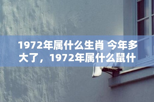 1972年属什么生肖 今年多大了，1972年属什么鼠什么命