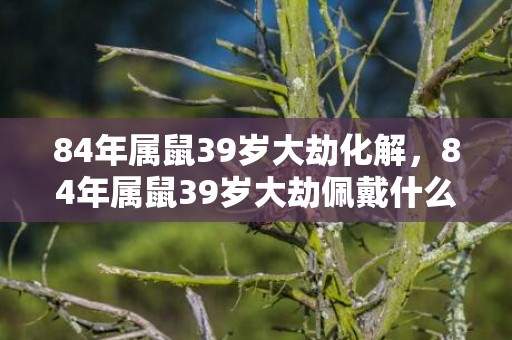 84年属鼠39岁大劫化解，84年属鼠39岁大劫佩戴什么好