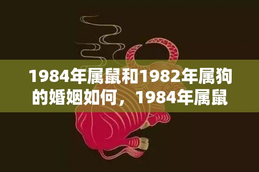 1984年属鼠和1982年属狗的婚姻如何，1984年属鼠和1978年属马合不合