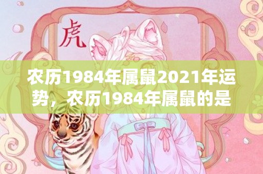 农历1984年属鼠2021年运势，农历1984年属鼠的是什么命