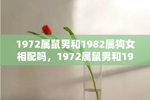 1972属鼠男和1982属狗女相配吗，1972属鼠男和1981属鸡女