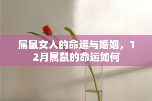 属鼠女人的命运与婚姻，12月属鼠的命运如何