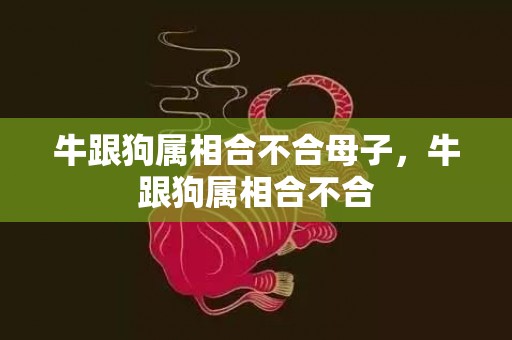 牛跟狗属相合不合母子，牛跟狗属相合不合