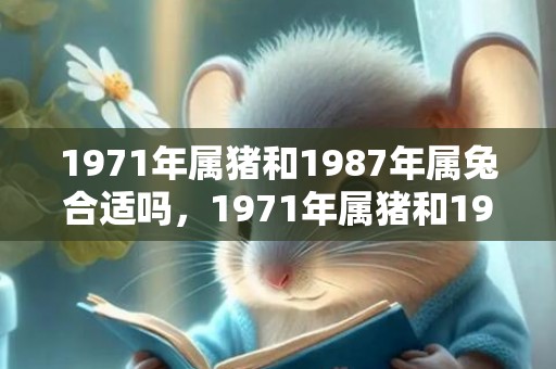 1971年属猪和1987年属兔合适吗，1971年属猪和1972年属鼠婚姻好吗