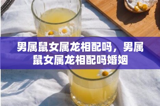 男属鼠女属龙相配吗，男属鼠女属龙相配吗婚姻